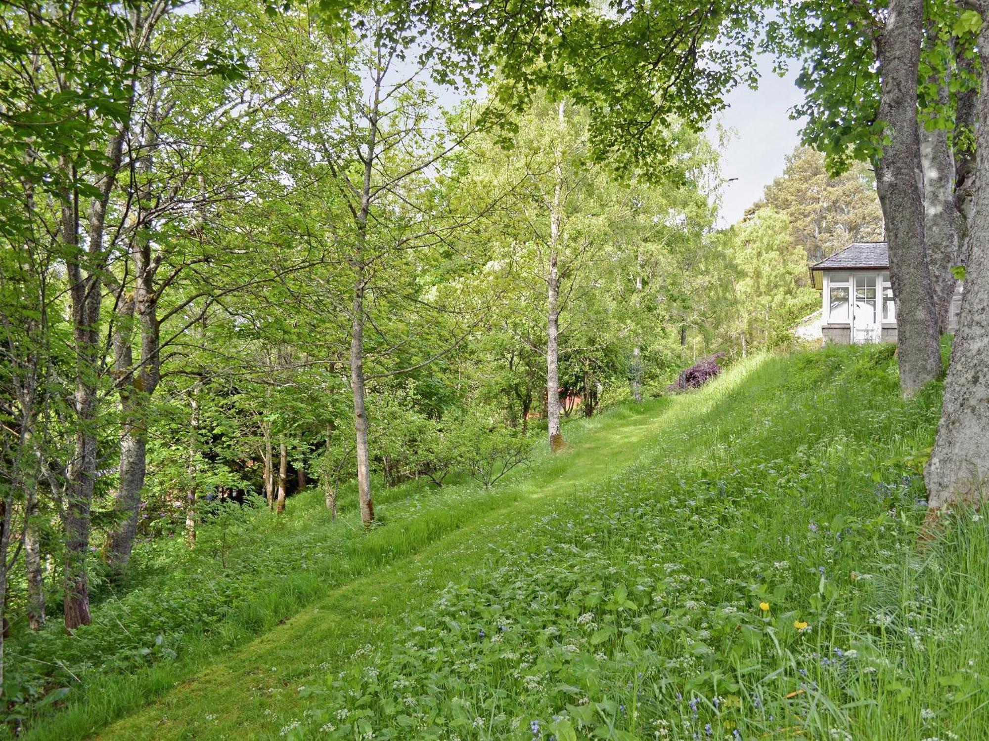 Treetops Newtonmore Exterior photo